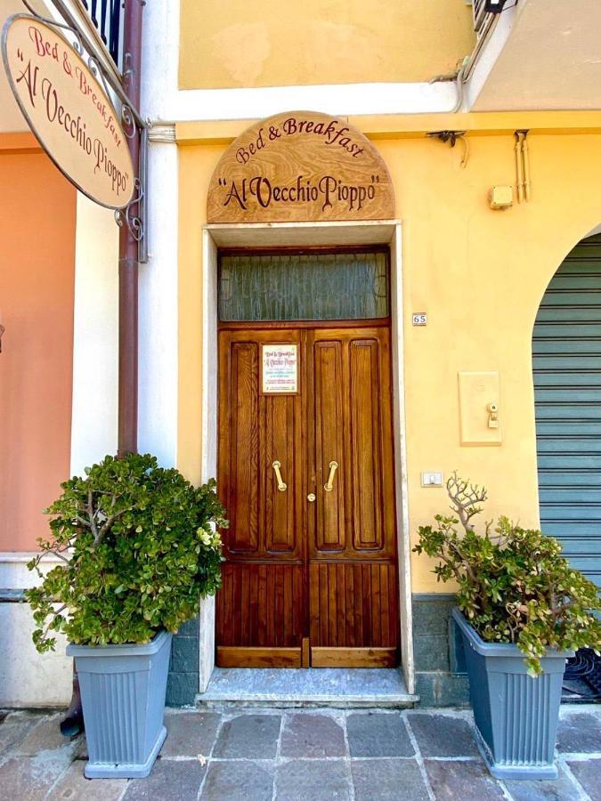Al Vecchio Pioppo Bed and Breakfast Praia a Mare Eksteriør billede